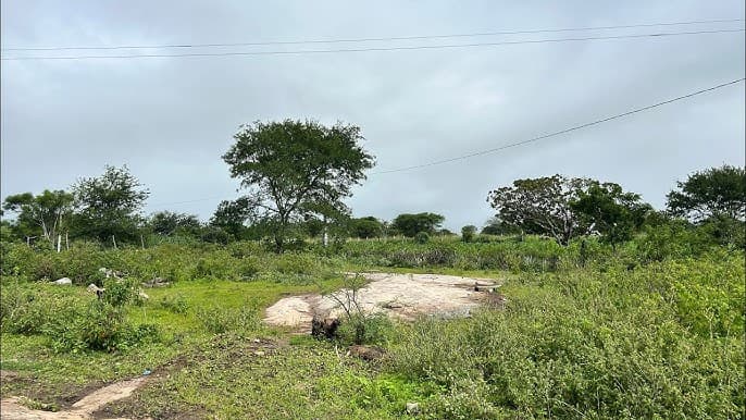 Terreno residencial no Angico